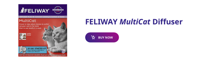 Feliway MultiCat Starter Kit - The Purrfect Post