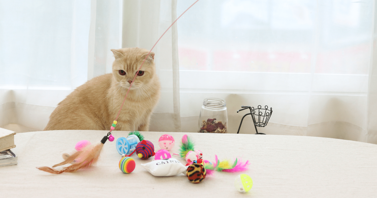 разные игрушки для кошки