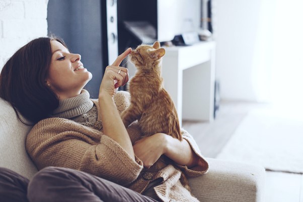 03_FELIWAY _ Calma a tu gato 7 consejos para tu gato ansioso 4