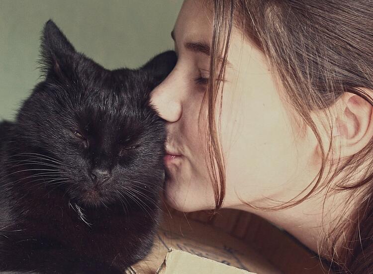 black cat in love with his human