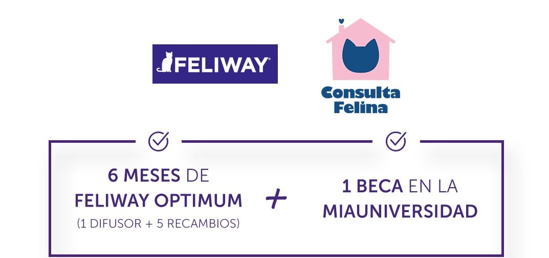 17_Post_Sorteo_01 (1)-2