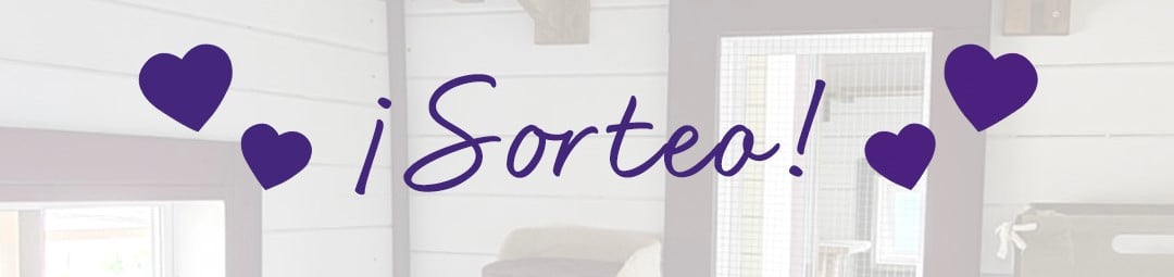 18_julio_post_sorteo_01_V2434 18_julio_post_sorteo_01_V2434