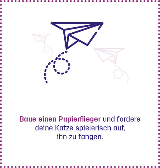 2003_feliway_blog_coronavirus_infografik_katzenspiele_einzelgrafik_01