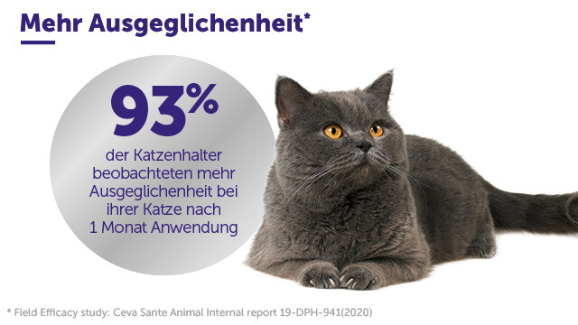 210914_feliway_website_image_640x360px_02 (1)
