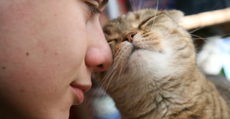 Warum schnurren Katzen, wenn sie mit einem kuscheln?