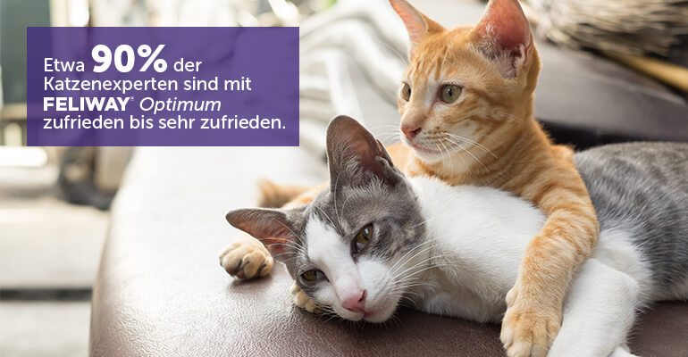 Katzenexperten sind sehr zufrieden mit FELIWAY Optimum 