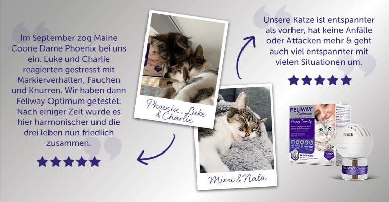 Erfahrungsberichte