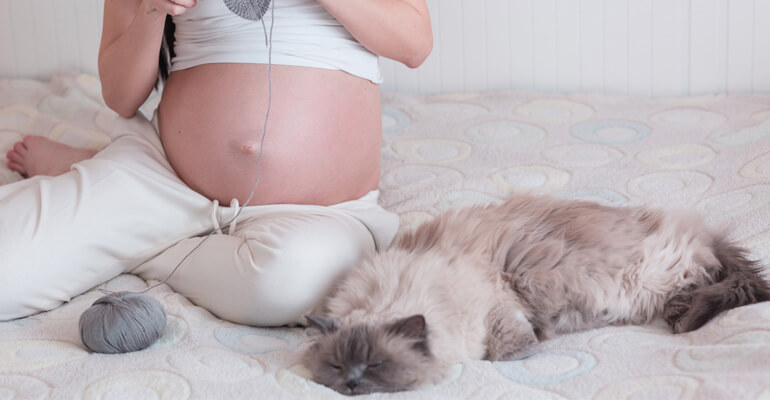 Schwangerschaft und Katzen: was diese aufregende Zeit für euren Vierbeiner bedeutet
