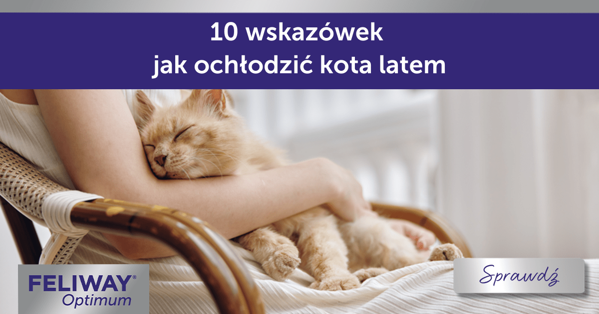 27 Fakten über  Russisch White Katzen (6)-min