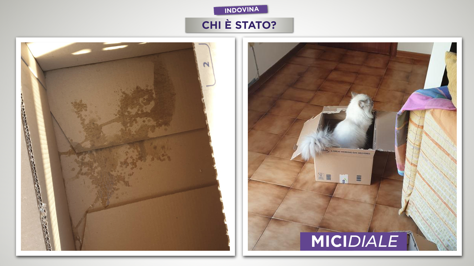 5_SOLUZIONE