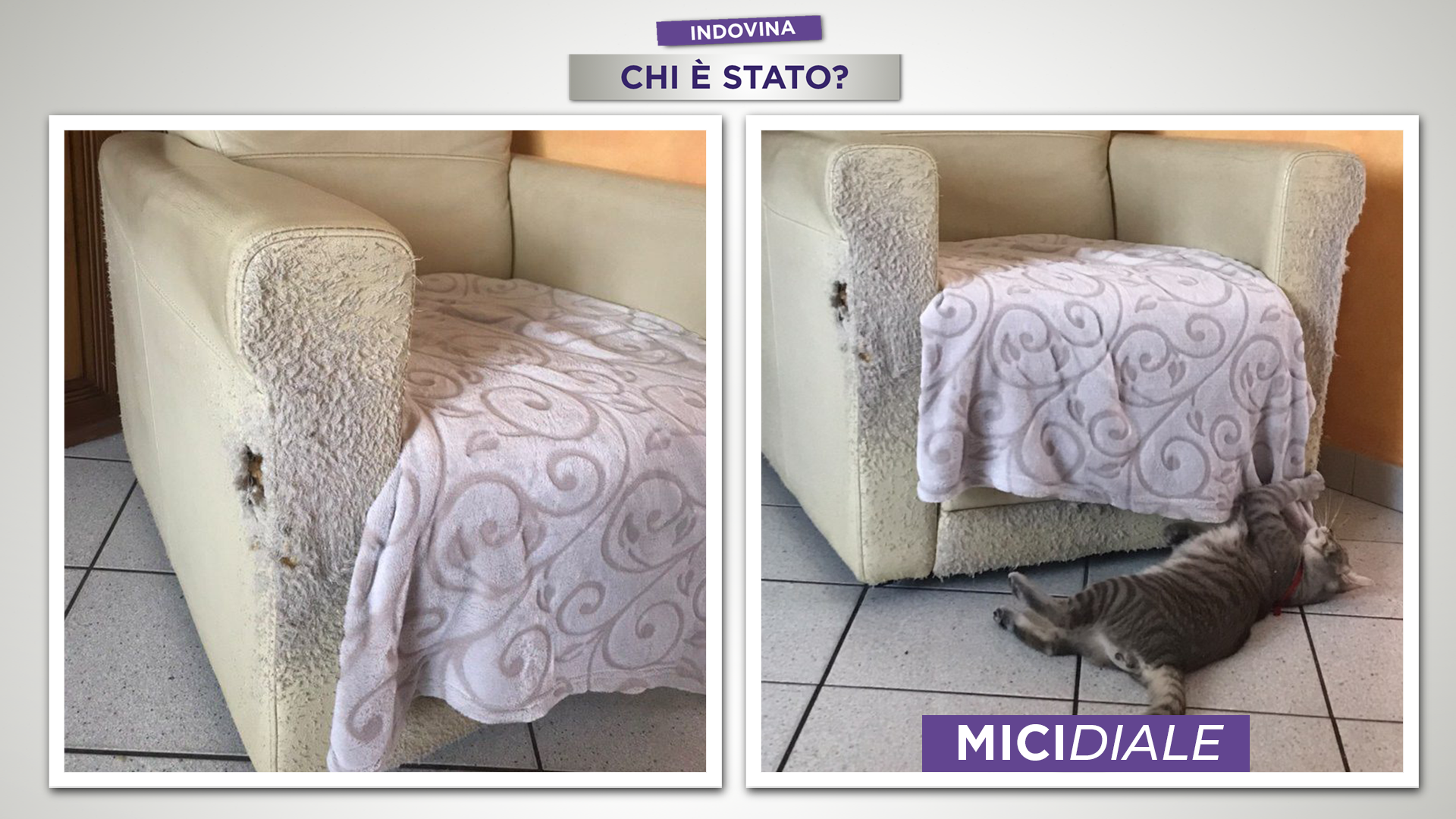 7_SOLUZIONE