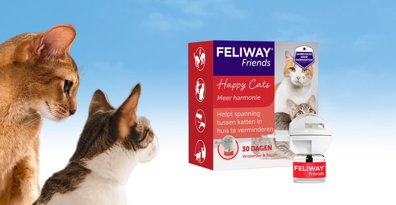 Welke FELIWAY verdamper moet ik gebruiken? > info FELIWAY Friends