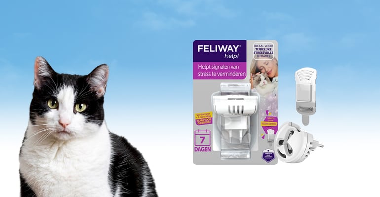 Welke FELIWAY verdamper moet ik gebruiken? > info FELIWAY Help