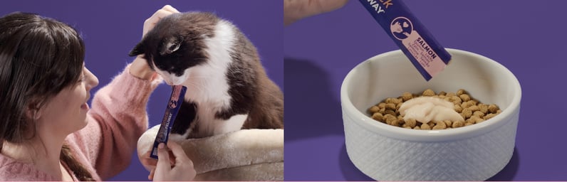 dame geeft happy snack by feliway aan kat en voerbak met happy snack by feliway