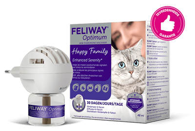 Ondersteun jouw kat met FELIWAY Optimum