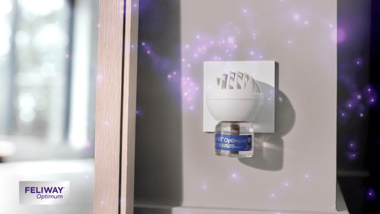 feliway optimum verdamper voor katten ingeplugd in stopcontact