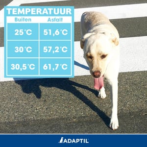 temperatuur asfalt