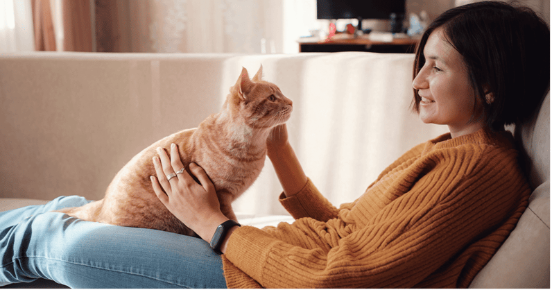 Tekenen van stress en ongemak bij katten