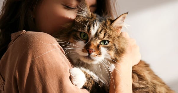 Young woman holding a fluffy cat.