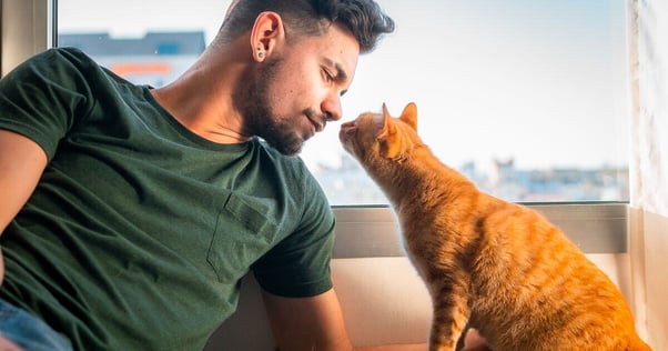 Ginger cat peering up at a man’s face.