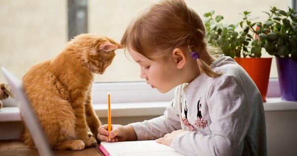 Cat sitting with a girl writing in a book.