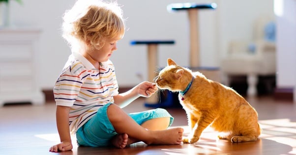  Child feeding their cat a treat.