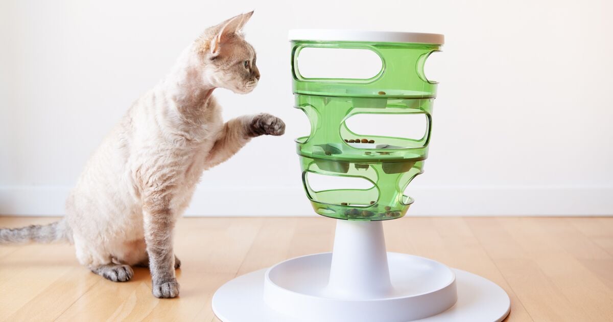 Blog_Article_Image-shutterstock_2015105420