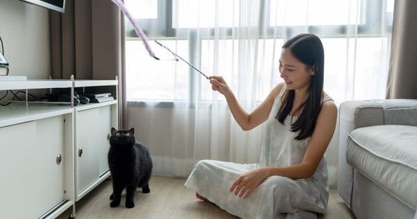 Cat playing with a fishing rod toy.