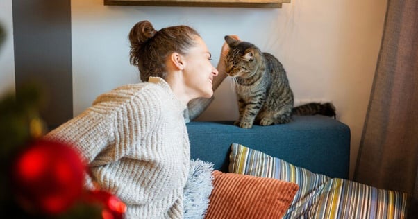 A woman stroking her cat who is sat on the backrest of a chair.