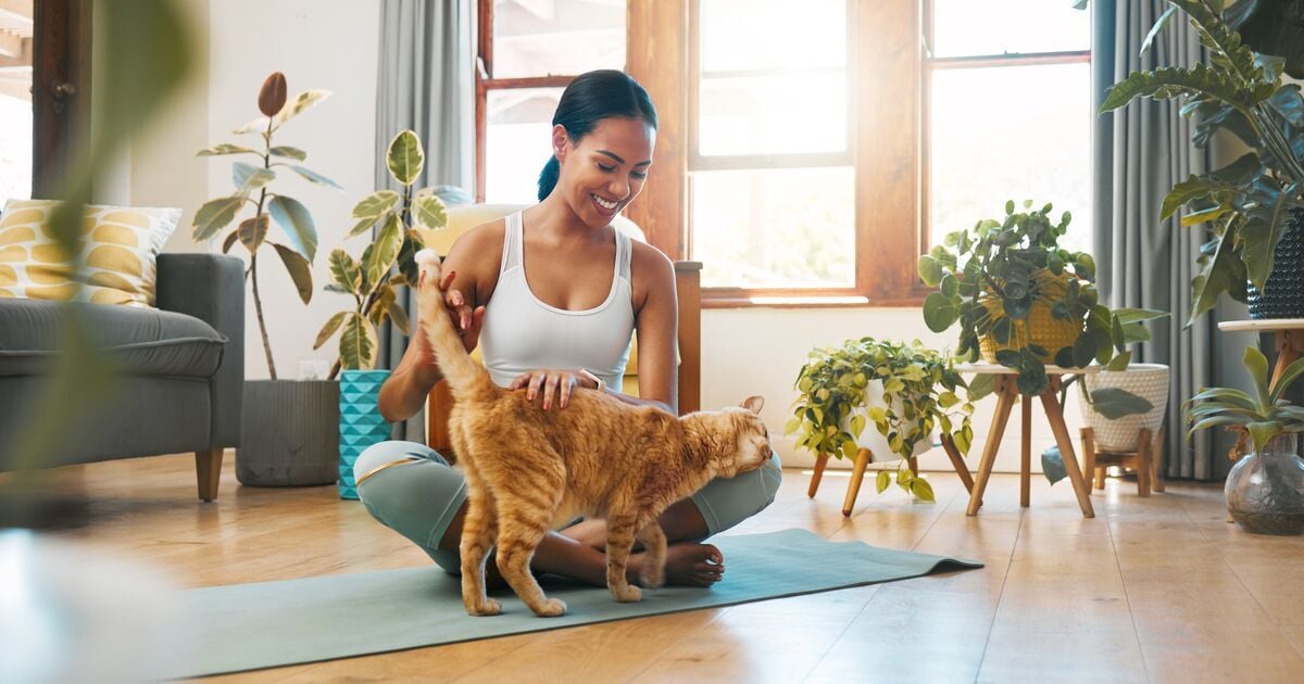 Mosolygó nő a jógamatracon a cicájával 