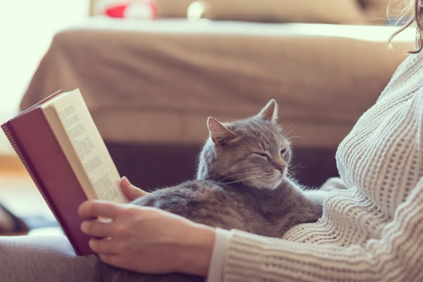 Grey cat sitting on a woman’s lap while she reads.