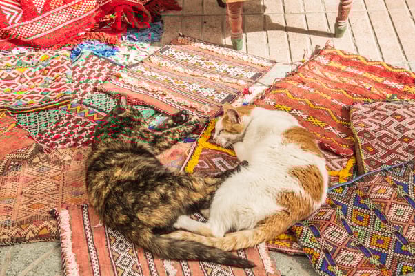 A brown and orange cat lying with a white and orange cat on a pile of brightly coloured patterned rug carpets.