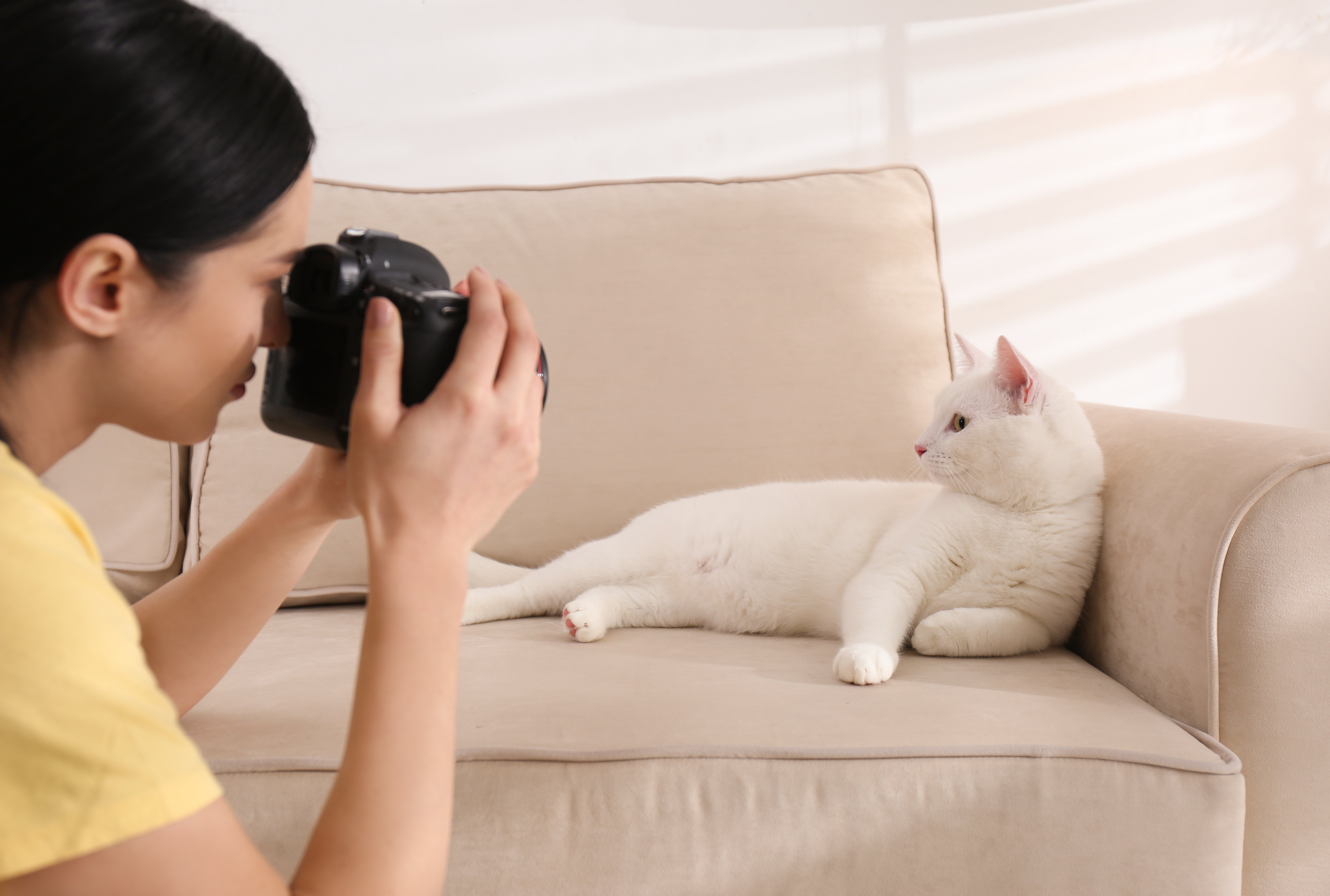shutterstock_1594725553