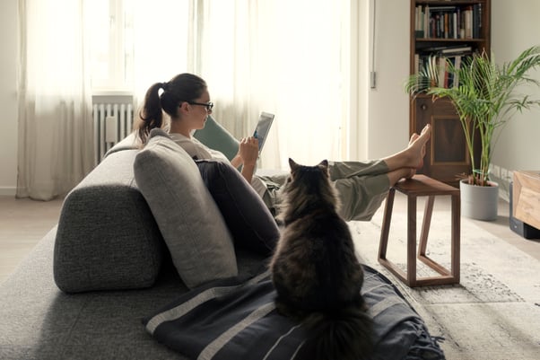 A cat sat on a sofa looking at a person reading a tablet.