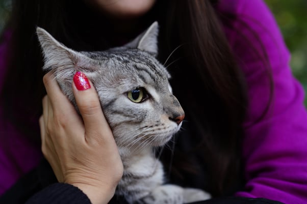 A woman holding her Egyptian Mau cat, holding their face close to her.