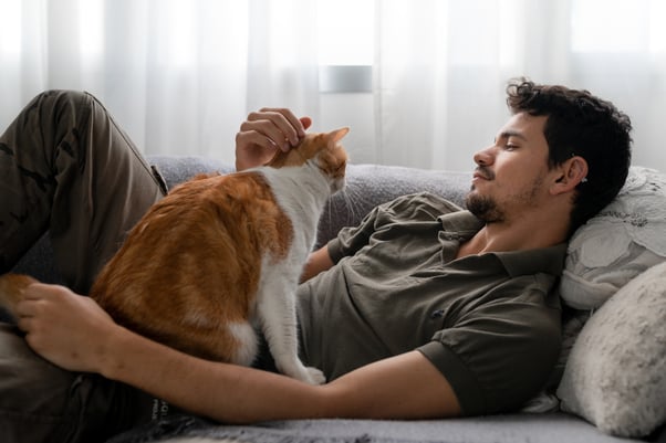 Man lying on a sofa petting a ginger cat.
