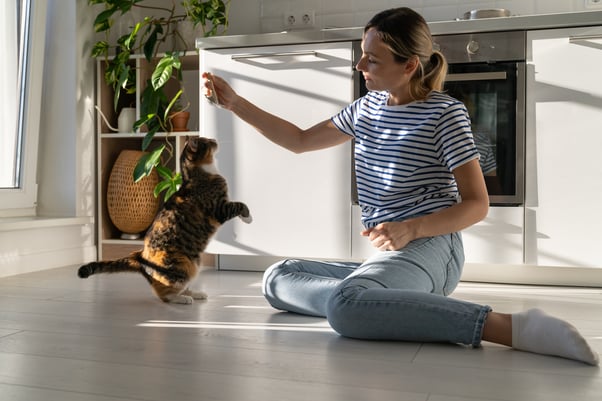 A human playing with their cat in a kitchen.