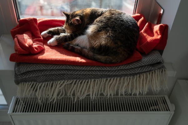 Multicoloured cat sleeping on top of blankets lay on a windowsill above a radiator.