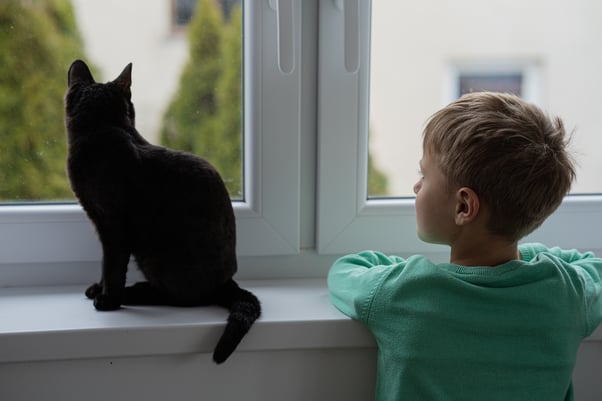 Cat sitting by the window with a young boy.