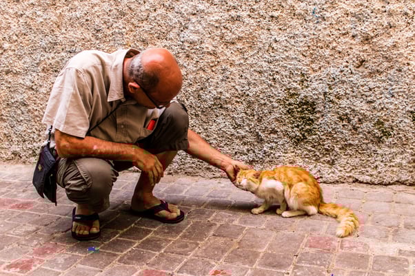 Man crouching down petting a ginger cat.