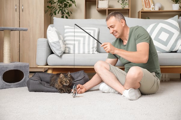 Man using a wand toy to play with his cat who is cat in their bed in front of a sofa.