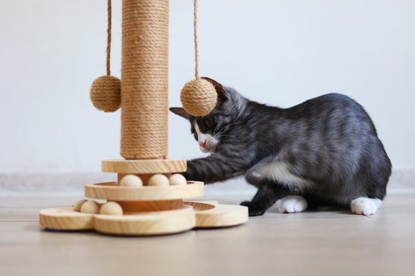 A black, white and grey cat playing with an engaging scratch matt which has balls on strings for them to hit and two layers of balls to roll around in circles.