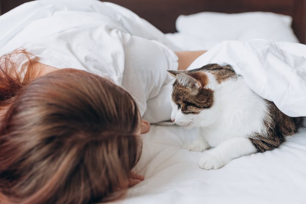 Human sleeping in a bed with a cat lying next to them.