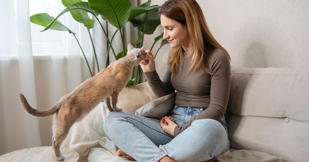 Cat eating a treat from a woman’s fingers.