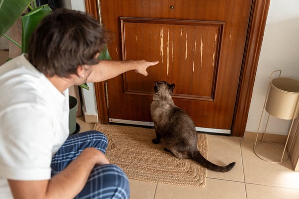 Human pointing at a scratched wooden door while a cat sits on a doormat looking at the scratches.