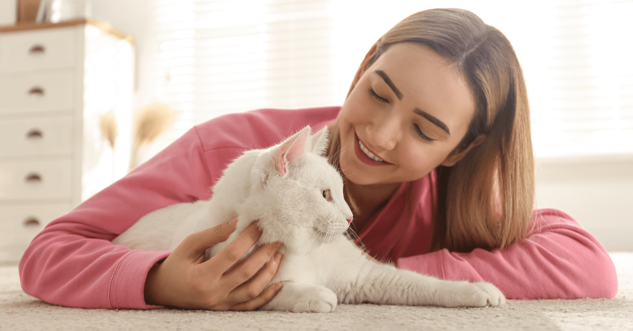 Come lasciare il gatto solo in casa