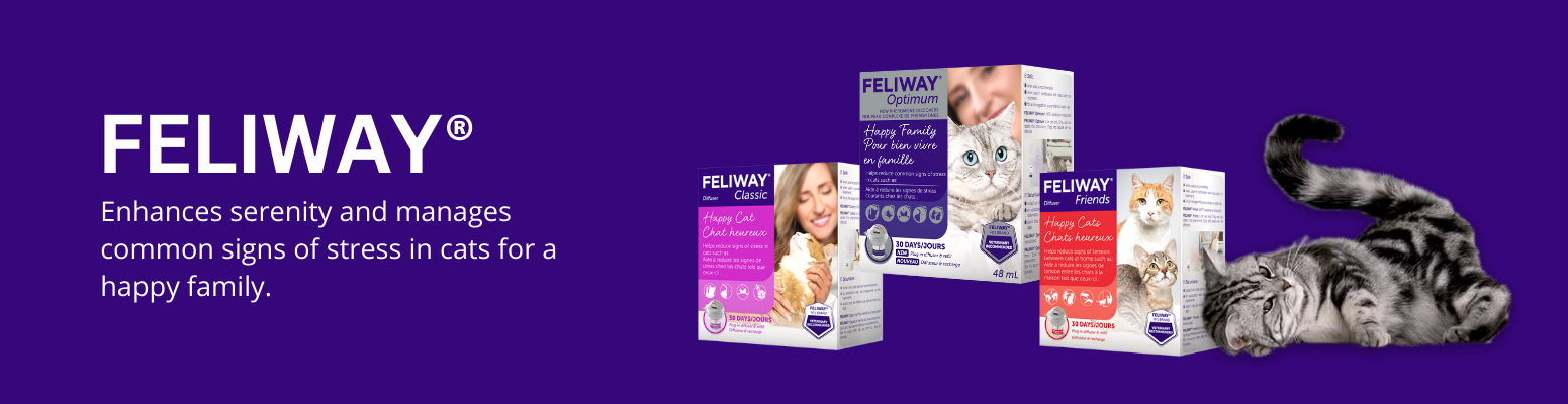 Email Header Banner (1)