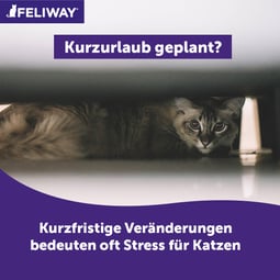 Feliway Help Extrakartusche