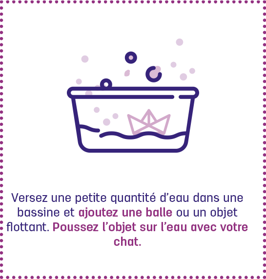 Conseils D Expert Reduire Le Stress Des Chats Pendant Le Confinement Conseils D Expert Reduire Le Stress Des Chats Pendant Le Confinement