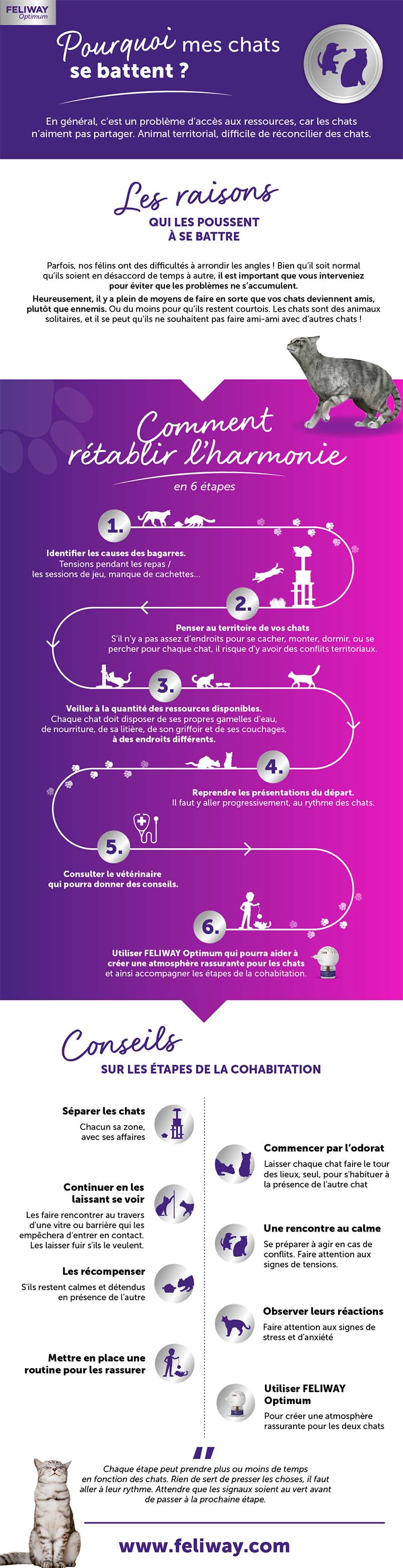 Infographie_3_Feliway-FINAL